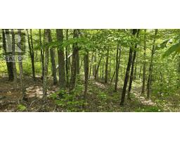 Lot 24-2 East Clifford Road, East Clifford, NS B4V7R8 Photo 14