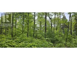 Lot 24-1 East Clifford Road, East Clifford, NS B4V7R8 Photo 10