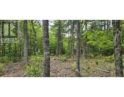 Lot 24-1 East Clifford Road, East Clifford, NS B4V7R8 Photo 14