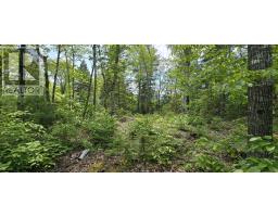 Lot 24-1 East Clifford Road, East Clifford, NS B4V7R8 Photo 9