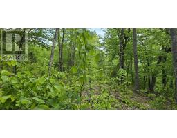 Lot 24-1 East Clifford Road, East Clifford, NS B4V7R8 Photo 25