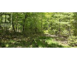 Lot 24-1 East Clifford Road, East Clifford, NS B4V7R8 Photo 28