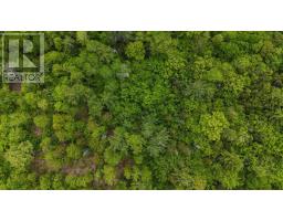 Lot 24-1 East Clifford Road, East Clifford, NS B4V7R8 Photo 30