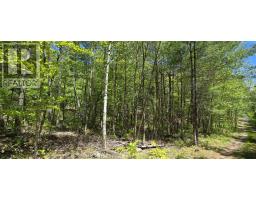 Lot 24-1 East Clifford Road, East Clifford, NS B4V7R8 Photo 26