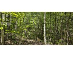 Lot 24-1 East Clifford Road, East Clifford, NS B4V7R8 Photo 21
