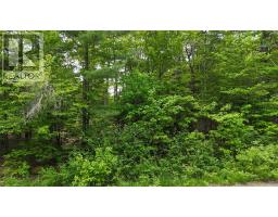 Lot 24-1 East Clifford Road, East Clifford, NS B4V7R8 Photo 22