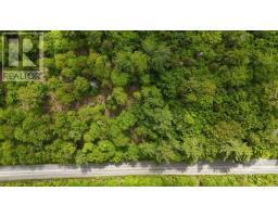 Lot 24-1 East Clifford Road, East Clifford, NS B4V7R8 Photo 18