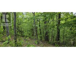 Lot 24-1 East Clifford Road, East Clifford, NS B4V7R8 Photo 6