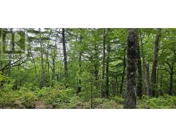 Lot 24-1 East Clifford Road, East Clifford, NS B4V7R8 Photo 15