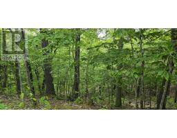 Lot 24-1 East Clifford Road, East Clifford, NS B4V7R8 Photo 27