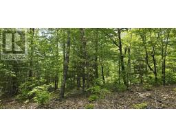 Lot 24-3 East Clifford Road, East Clifford, NS B4V7R8 Photo 38