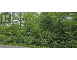 Lot 24-3 East Clifford Road, East Clifford, NS B4V7R8 Photo 12