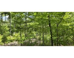 Lot 24-3 East Clifford Road, East Clifford, NS B4V7R8 Photo 29