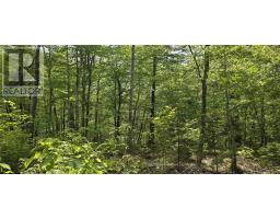 Lot 24-3 East Clifford Road, East Clifford, NS B4V7R8 Photo 31