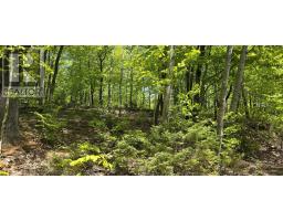 Lot 24-3 East Clifford Road, East Clifford, NS B4V7R8 Photo 34