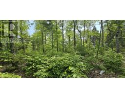 Lot 24-1 East Clifford Road, East Clifford, NS B4V7R8 Photo 13