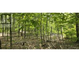 Lot 24-3 East Clifford Road, East Clifford, NS B4V7R8 Photo 8