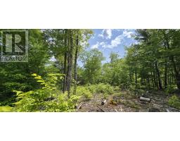 Lot 24-3 East Clifford Road, East Clifford, NS B4V7R8 Photo 36