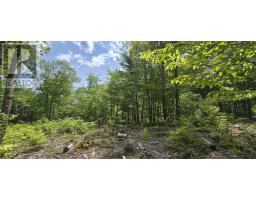 Lot 24-3 East Clifford Road, East Clifford, NS B4V7R8 Photo 7