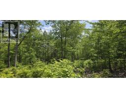 Lot 24-3 East Clifford Road, East Clifford, NS B4V7R8 Photo 28