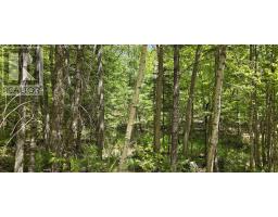 Lot 24-1 East Clifford Road, East Clifford, NS B4V7R8 Photo 12