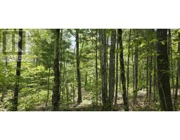 Lot 24-3 East Clifford Road, East Clifford, NS B4V7R8 Photo 37