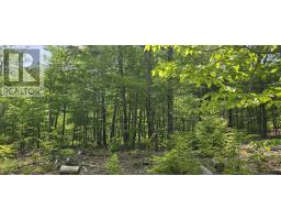 Lot 24-3 East Clifford Road, East Clifford, NS B4V7R8 Photo 6