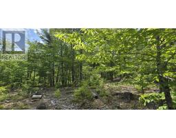 Lot 24-3 East Clifford Road, East Clifford, NS B4V7R8 Photo 24
