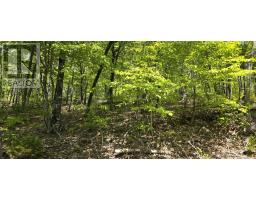 Lot 24-3 East Clifford Road, East Clifford, NS B4V7R8 Photo 13