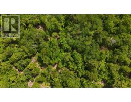Lot 24-3 East Clifford Road, East Clifford, NS B4V7R8 Photo 9
