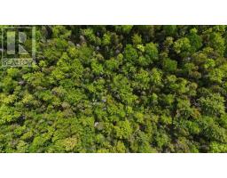 Lot 24-3 East Clifford Road, East Clifford, NS B4V7R8 Photo 26