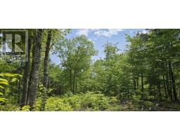 Lot 24-3 East Clifford Road, East Clifford, NS B4V7R8 Photo 17
