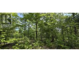 Lot 24-3 East Clifford Road, East Clifford, NS B4V7R8 Photo 23