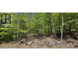 Lot 24-3 East Clifford Road, East Clifford, NS B4V7R8 Photo 14