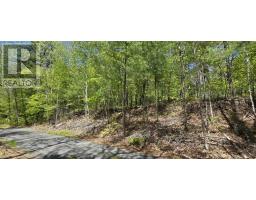 Lot 24-3 East Clifford Road, East Clifford, NS B4V7R8 Photo 25