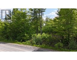 Lot 24-3 East Clifford Road, East Clifford, NS B4V7R8 Photo 20