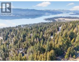151 Vickers Trail Lot# 151, Anglemont, BC V0E1M8 Photo 13