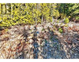 151 Vickers Trail Lot# 151, Anglemont, BC V0E1M8 Photo 15