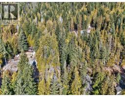 151 Vickers Trail Lot# 151, Anglemont, BC V0E1M8 Photo 21