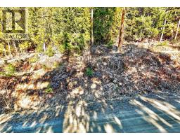 151 Vickers Trail Lot# 151, Anglemont, BC V0E1M8 Photo 8