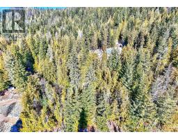 151 Vickers Trail Lot# 151, Anglemont, BC V0E1M8 Photo 11