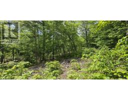 Lot 24-4 East Clifford Road, East Clifford, NS B4V7R8 Photo 11