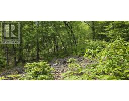 Lot 24-4 East Clifford Road, East Clifford, NS B4V7R8 Photo 10