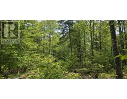 Lot 24-4 East Clifford Road, East Clifford, NS B4V7R8 Photo 32
