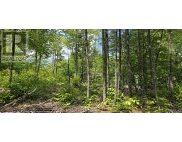 Lot 24-4 East Clifford Road, East Clifford, NS B4V7R8 Photo 29