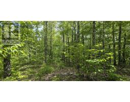 Lot 24-4 East Clifford Road, East Clifford, NS B4V7R8 Photo 27