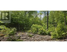Lot 24-4 East Clifford Road, East Clifford, NS B4V7R8 Photo 14