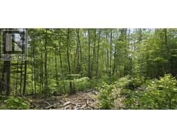 Lot 24-4 East Clifford Road, East Clifford, NS B4V7R8 Photo 15