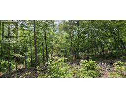 Lot 24-4 East Clifford Road, East Clifford, NS B4V7R8 Photo 16