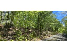 Lot 24-4 East Clifford Road, East Clifford, NS B4V7R8 Photo 17
